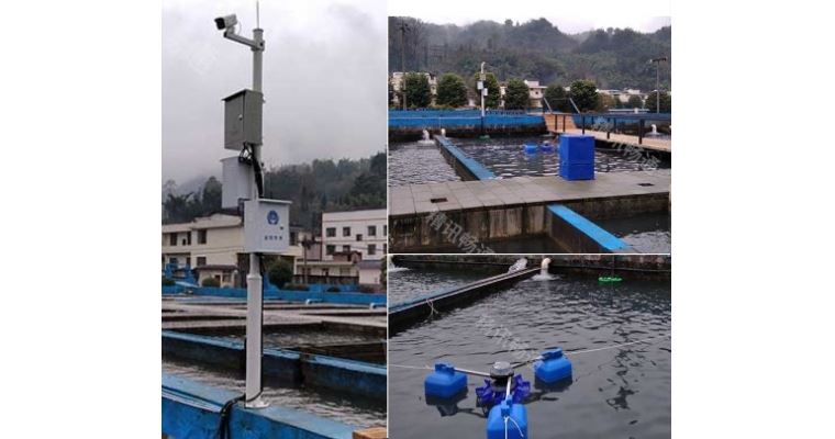 智慧水产养殖水质监测项目